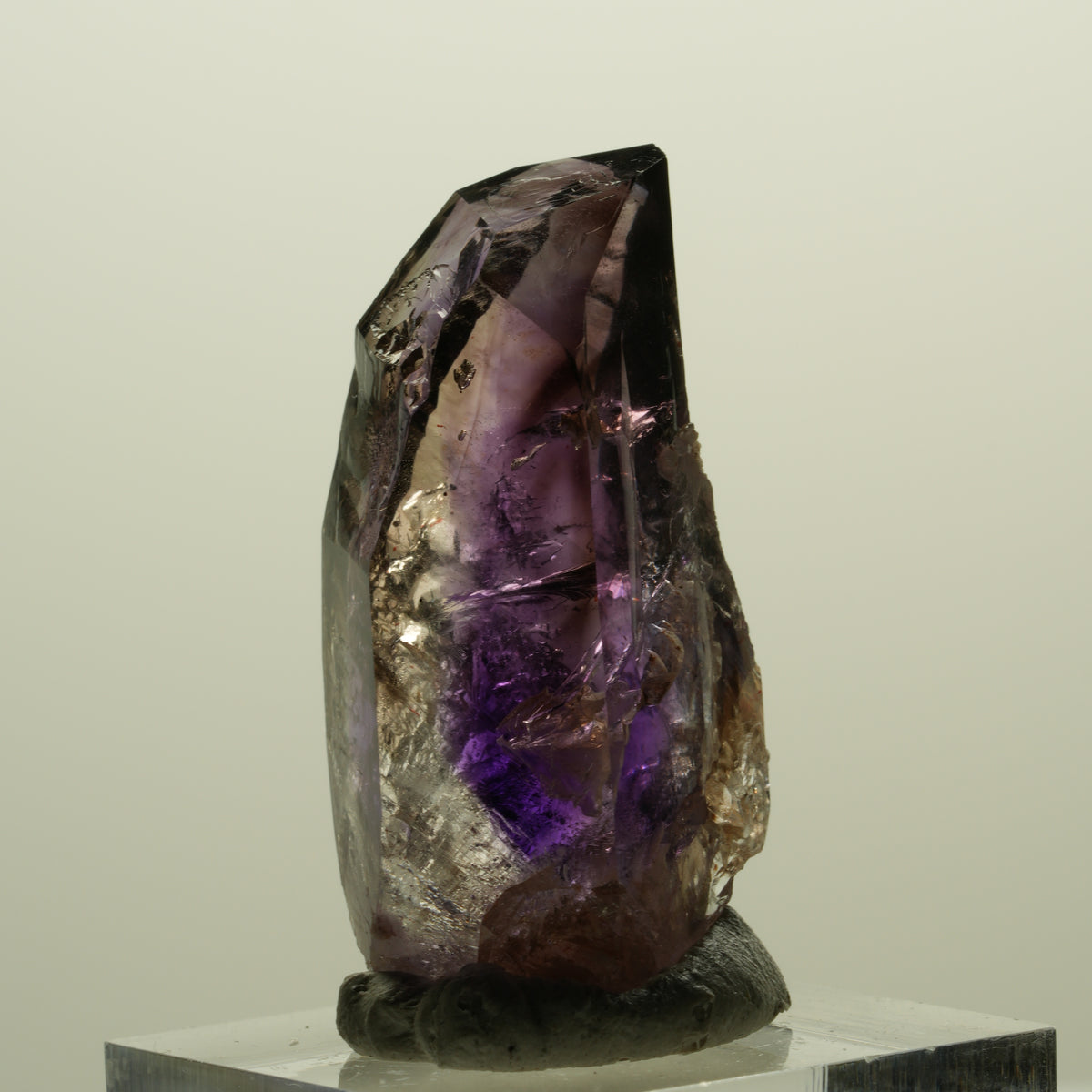 Seltene Skelett Phantom Amethyst Spitze Goboboseb, Namibia 41*21*18mm #15241