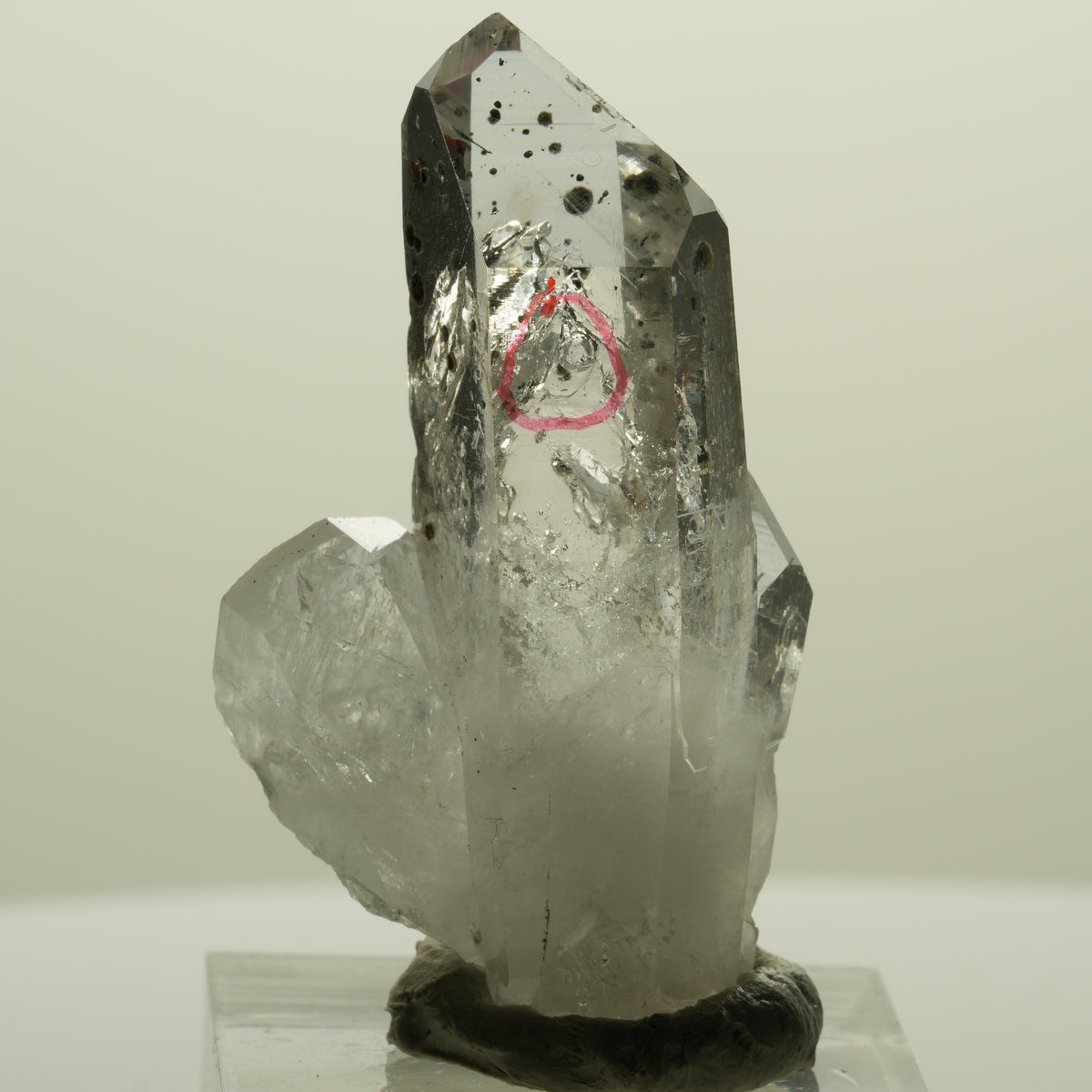 Enhydro Harlekin Lemurian Phantom Rauchquarz, 1x Blase Streep Mine, Namibia 45*26*15mm #15242
