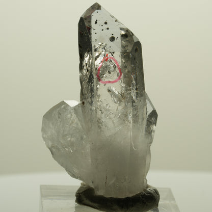 Enhydro Harlekin Lemurian Phantom Rauchquarz, 1x Blase Streep Mine, Namibia 45*26*15mm #15242