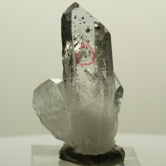 Enhydro Harlekin Lemurian Phantom Rauchquarz, 1x Blase Streep Mine, Namibia 45*26*15mm #15242