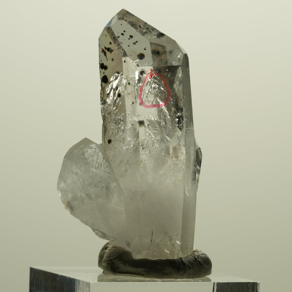 Enhydro Harlekin Lemurian Phantom Rauchquarz, 1x Blase Streep Mine, Namibia 45*26*15mm #15242