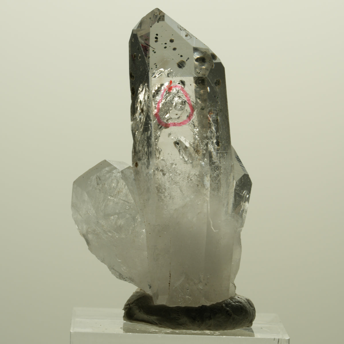 Enhydro Harlekin Lemurian Phantom Rauchquarz, 1x Blase Streep Mine, Namibia 45*26*15mm #15242