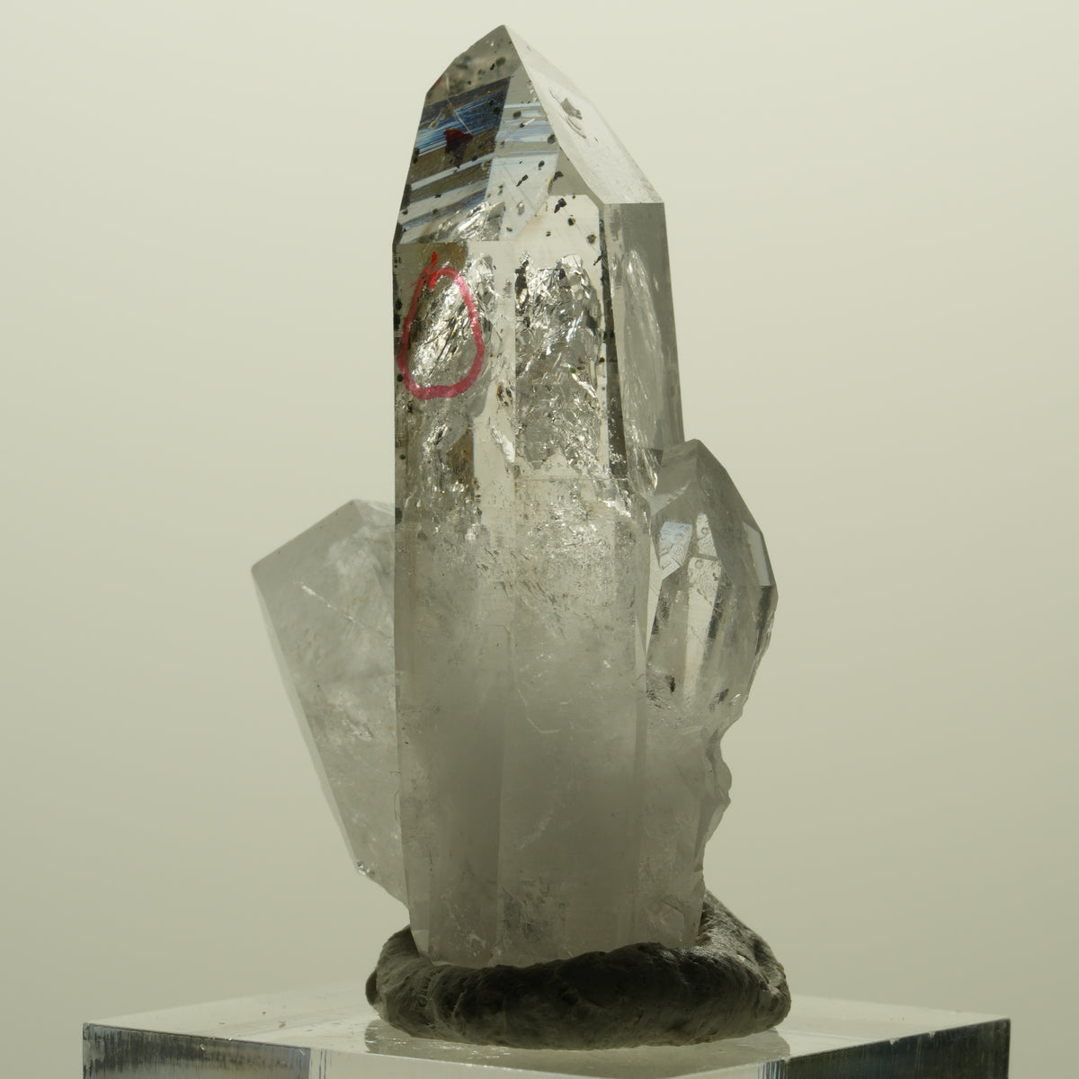 Enhydro Harlekin Lemurian Phantom Rauchquarz, 1x Blase Streep Mine, Namibia 45*26*15mm #15242