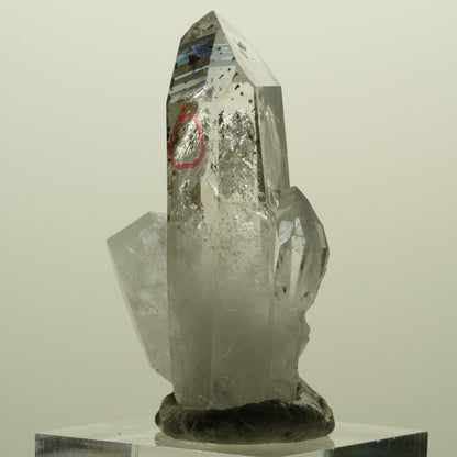 Enhydro Harlekin Lemurian Phantom Rauchquarz, 1x Blase Streep Mine, Namibia 45*26*15mm #15242