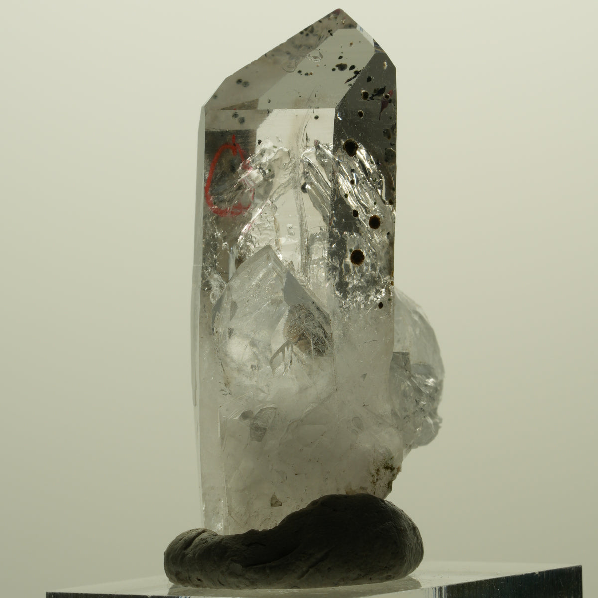 Enhydro Harlekin Lemurian Phantom Rauchquarz, 1x Blase Streep Mine, Namibia 45*26*15mm #15242
