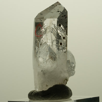 Enhydro Harlekin Lemurian Phantom Rauchquarz, 1x Blase Streep Mine, Namibia 45*26*15mm #15242