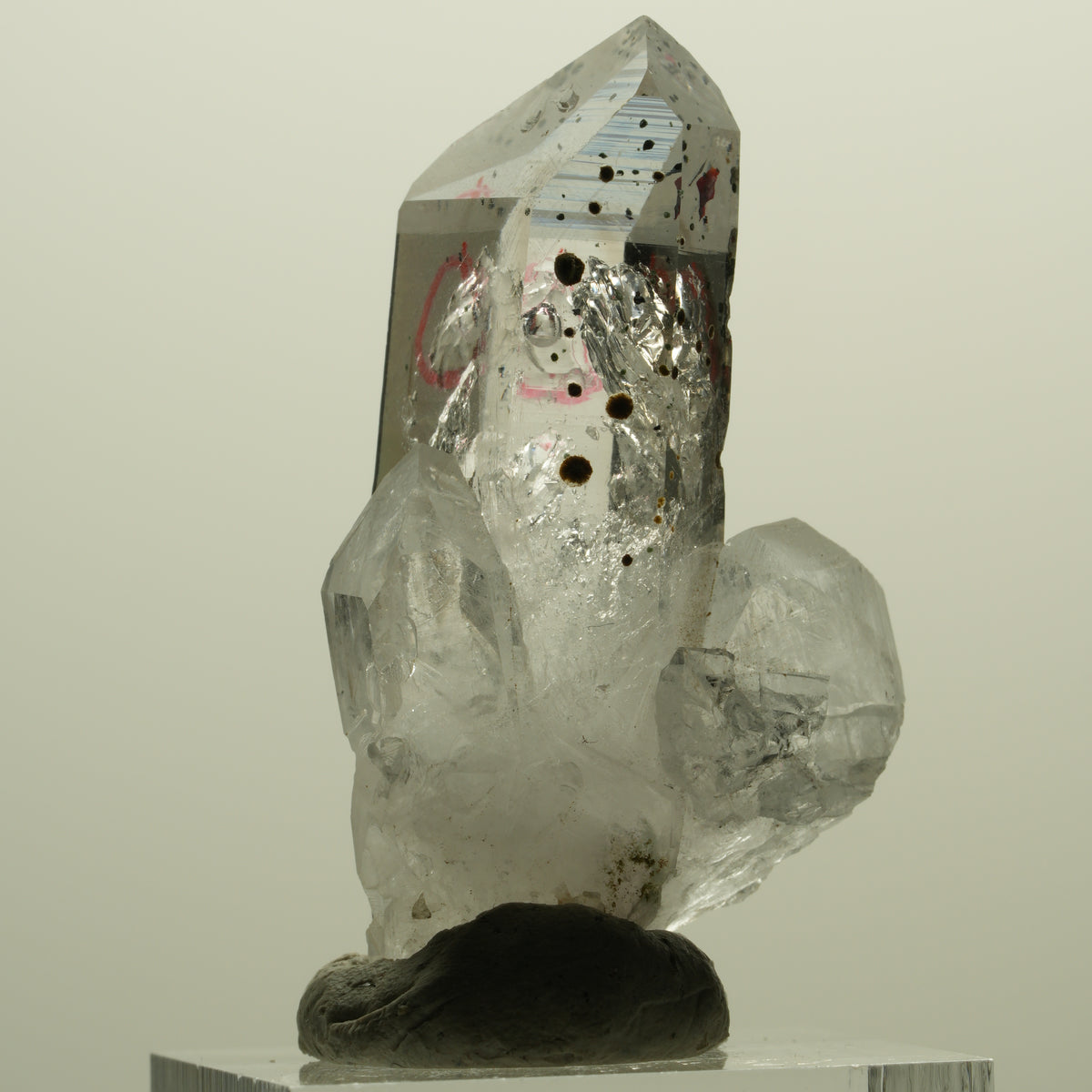 Enhydro Harlekin Lemurian Phantom Rauchquarz, 1x Blase Streep Mine, Namibia 45*26*15mm #15242