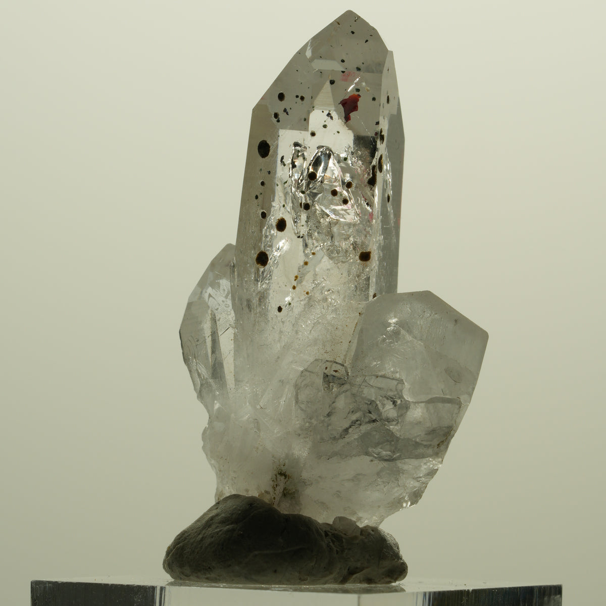 Enhydro Harlekin Lemurian Phantom Rauchquarz, 1x Blase Streep Mine, Namibia 45*26*15mm #15242