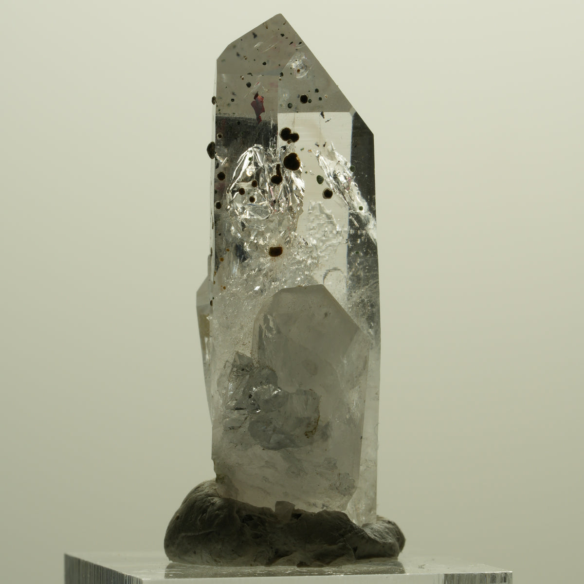 Enhydro Harlekin Lemurian Phantom Rauchquarz, 1x Blase Streep Mine, Namibia 45*26*15mm #15242