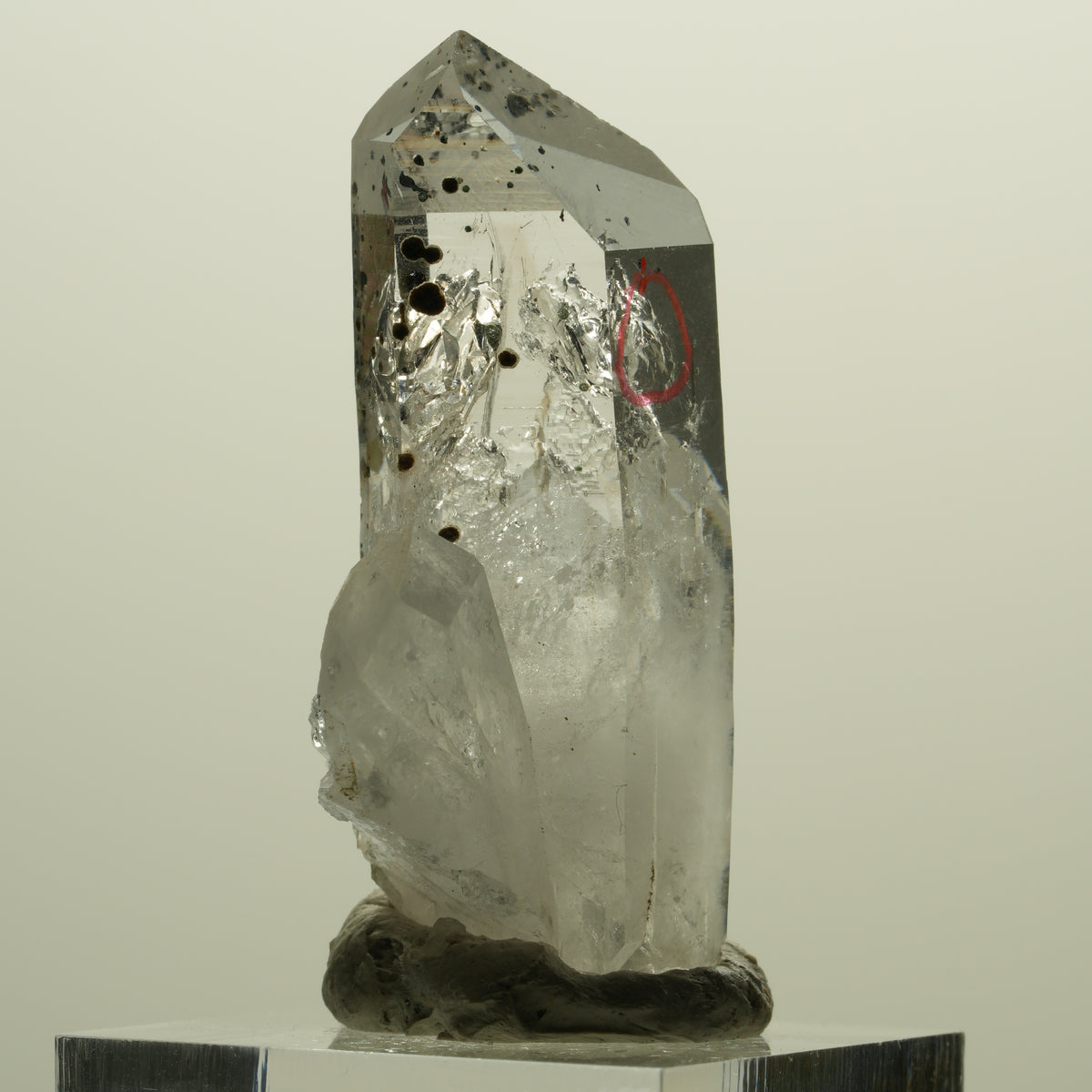Enhydro Harlekin Lemurian Phantom Rauchquarz, 1x Blase Streep Mine, Namibia 45*26*15mm #15242