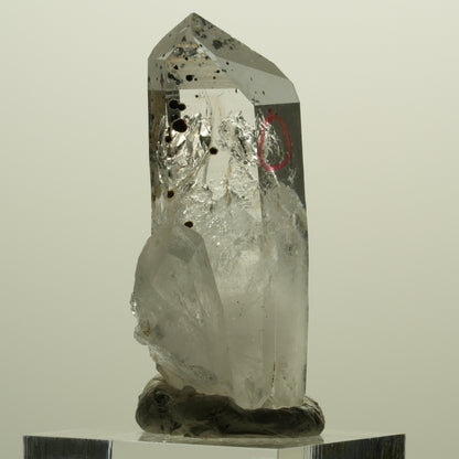 Enhydro Harlekin Lemurian Phantom Rauchquarz, 1x Blase Streep Mine, Namibia 45*26*15mm #15242