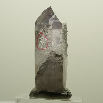 Enhydro Harlekin Skelett Phantom Amethyst, Prehnit, Epidot Streep Mine, Namibia 41*21*15mm #15245