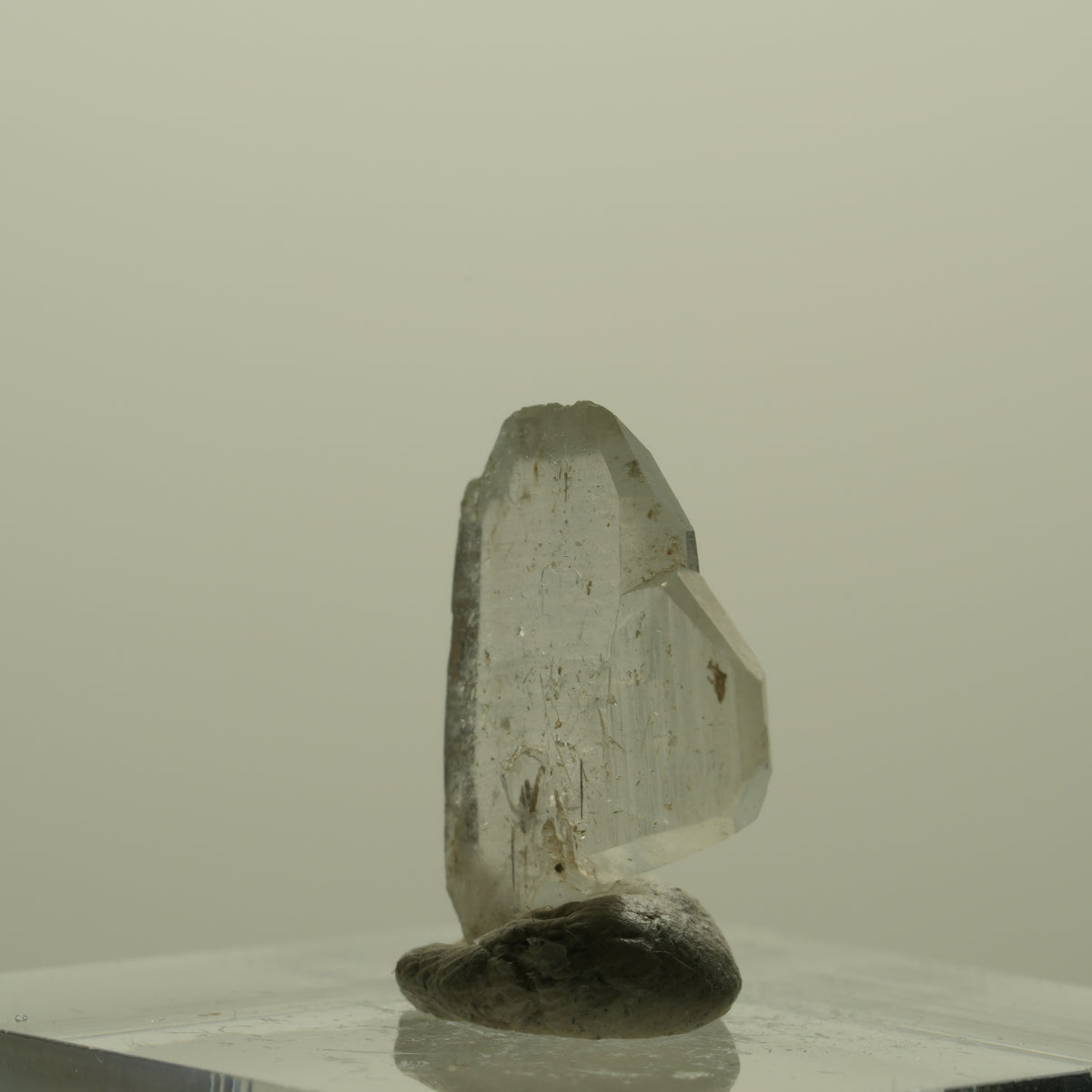 Japan Law Twin Kristall, Japaner-Zwilling Quarz Tubussis Area, Erongo, Namibia 16*17*3mm #15255