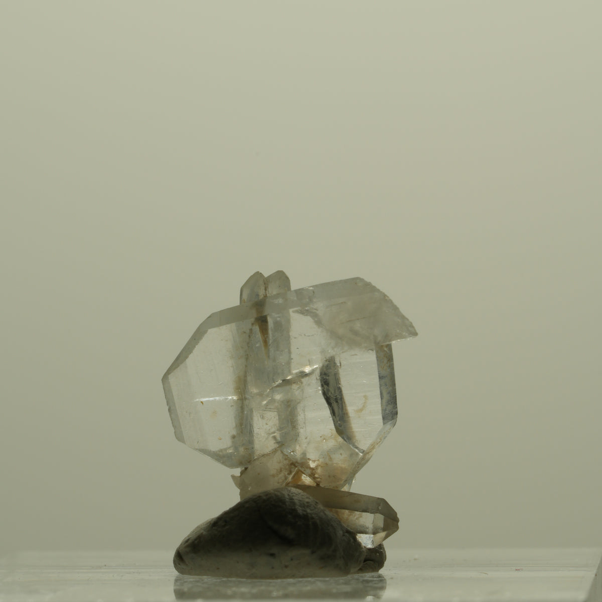 Japan Law Twin Kristall, Japaner-Zwilling Quarz Tubussis Area, Erongo, Namibia 14*13*7mm #15259