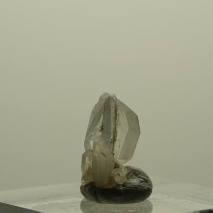 Japan Law Twin Kristall, Japaner-Zwilling Quarz Tubussis Area, Erongo, Namibia 14*13*7mm #15259