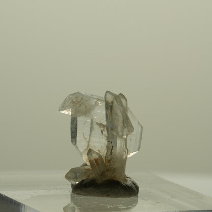 Japan Law Twin Kristall, Japaner-Zwilling Quarz Tubussis Area, Erongo, Namibia 14*13*7mm #15259