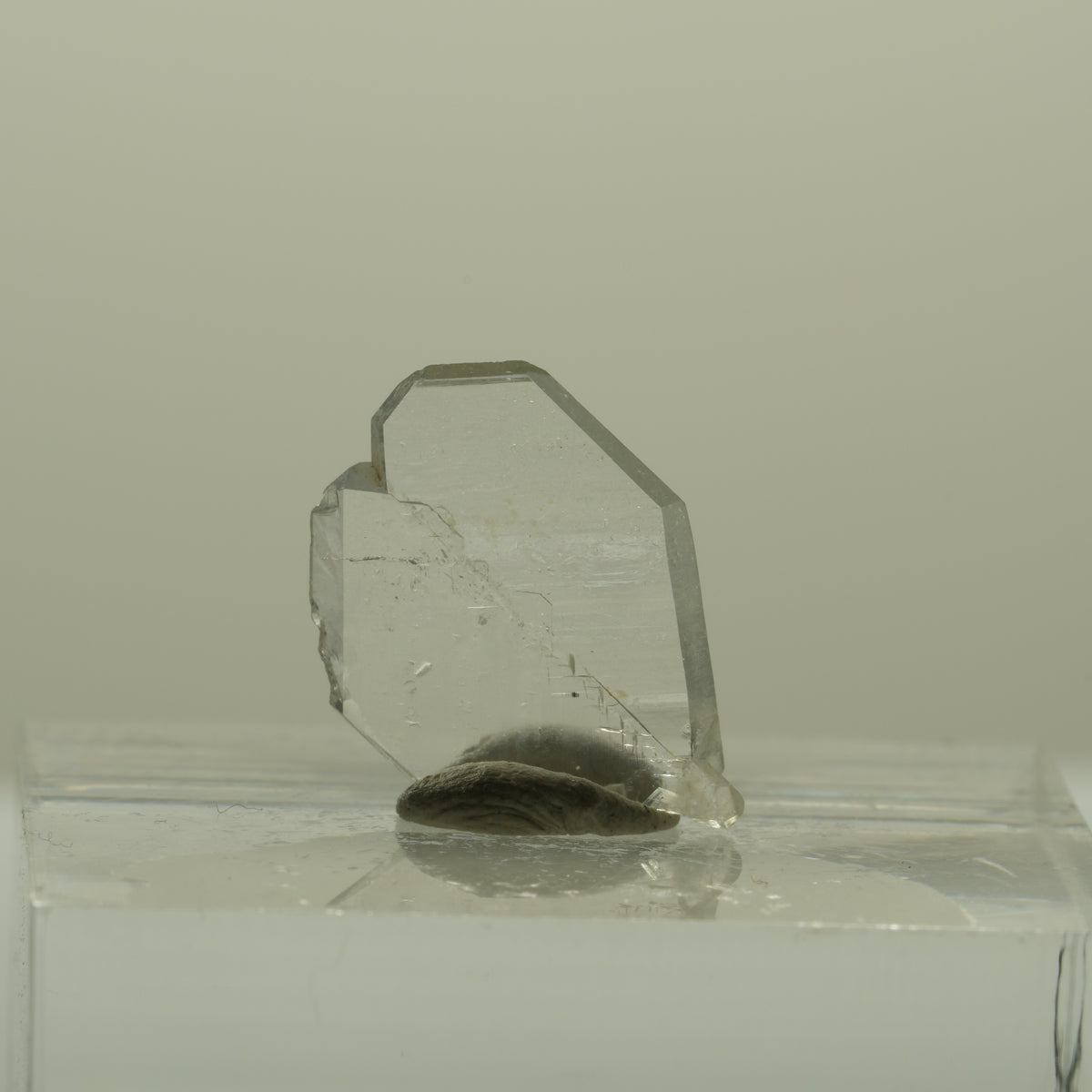 Japan Law Twin Kristall, Japaner-Zwilling Quarz Tubussis Area, Erongo, Namibia 15*11*2mm #15260