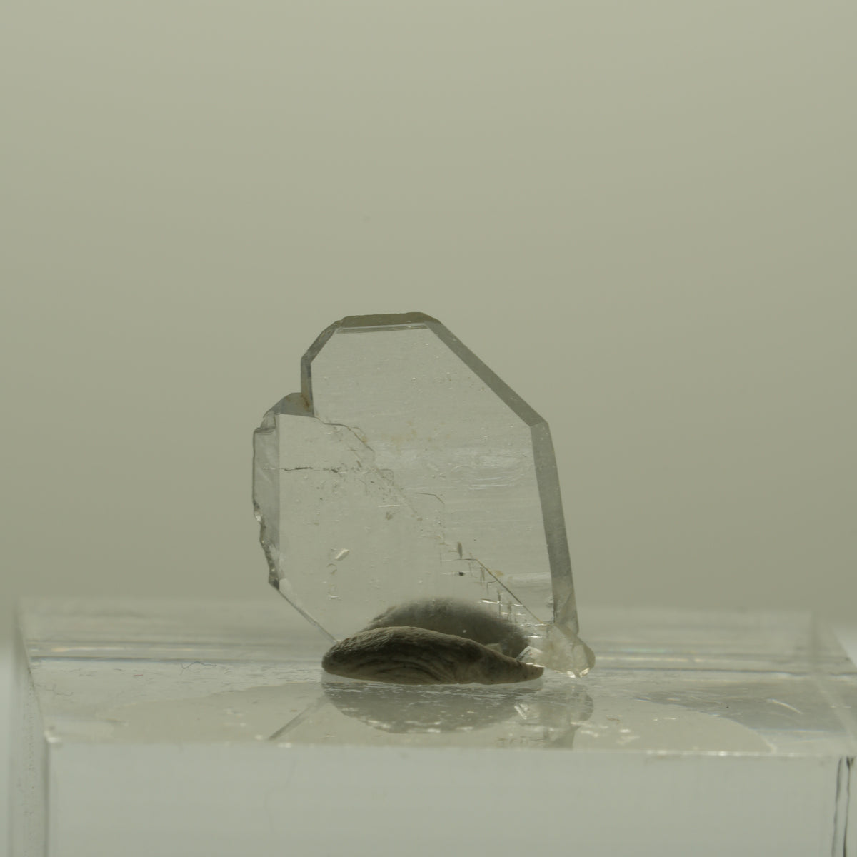 Japan Law Twin Kristall, Japaner-Zwilling Quarz Tubussis Area, Erongo, Namibia 15*11*2mm #15260