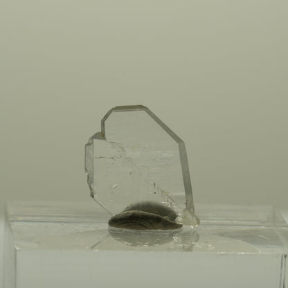Japan Law Twin Kristall, Japaner-Zwilling Quarz Tubussis Area, Erongo, Namibia 15*11*2mm #15260