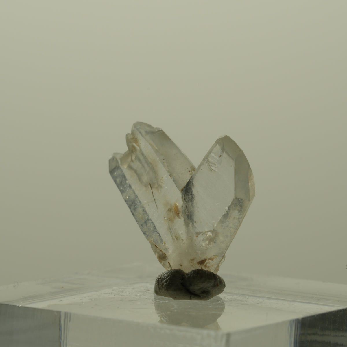 Japan Law Twin Kristall, Japaner-Zwilling Quarz Tubussis Area, Erongo, Namibia 16*15*3mm #15261