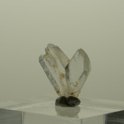 Japan Law Twin Kristall, Japaner-Zwilling Quarz Tubussis Area, Erongo, Namibia 16*15*3mm #15261