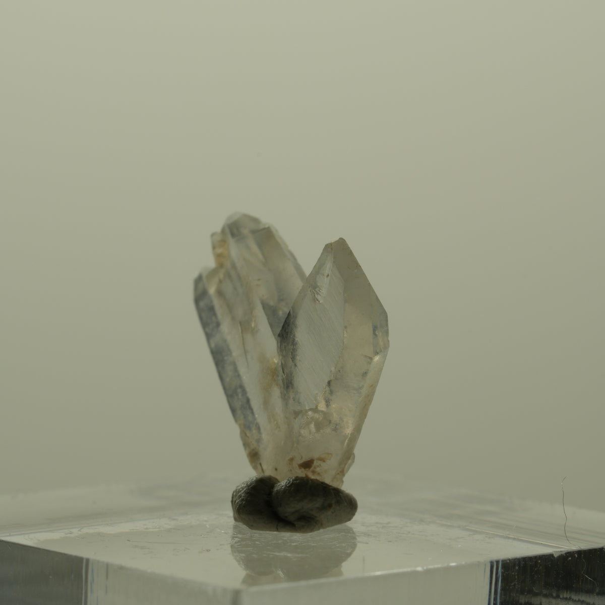 Japan Law Twin Kristall, Japaner-Zwilling Quarz Tubussis Area, Erongo, Namibia 16*15*3mm #15261