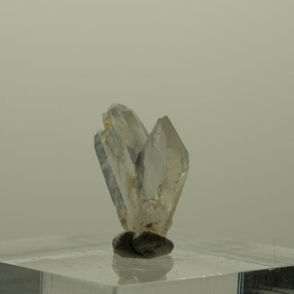 Japan Law Twin Kristall, Japaner-Zwilling Quarz Tubussis Area, Erongo, Namibia 16*15*3mm #15261