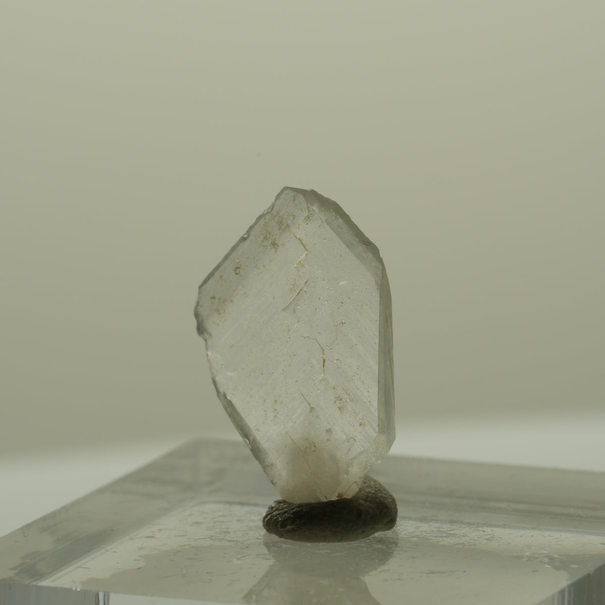 Japan Law Twin Kristall, Japaner-Zwilling Quarz Tubussis Area, Erongo, Namibia 17*12*2mm #15262