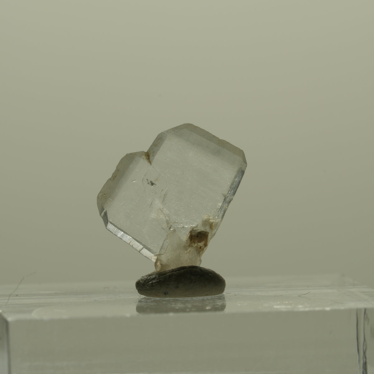 Japan Law Twin Kristall, Japaner-Zwilling Quarz Tubussis Area, Erongo, Namibia 13*10*3mm #15263