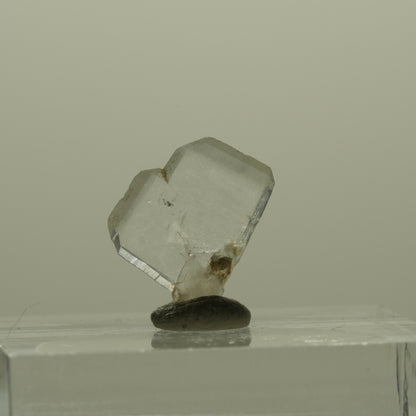 Japan Law Twin Kristall, Japaner-Zwilling Quarz Tubussis Area, Erongo, Namibia 13*10*3mm #15263