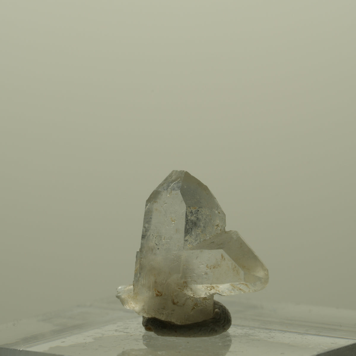 Japan Law Twin Kristall, Japaner-Zwilling Quarz Tubussis Area, Erongo, Namibia 17*14*4mm #15264