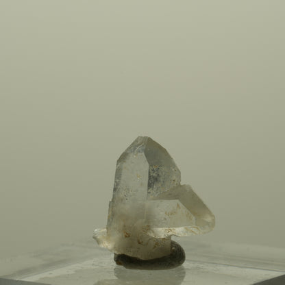Japan Law Twin Kristall, Japaner-Zwilling Quarz Tubussis Area, Erongo, Namibia 17*14*4mm #15264