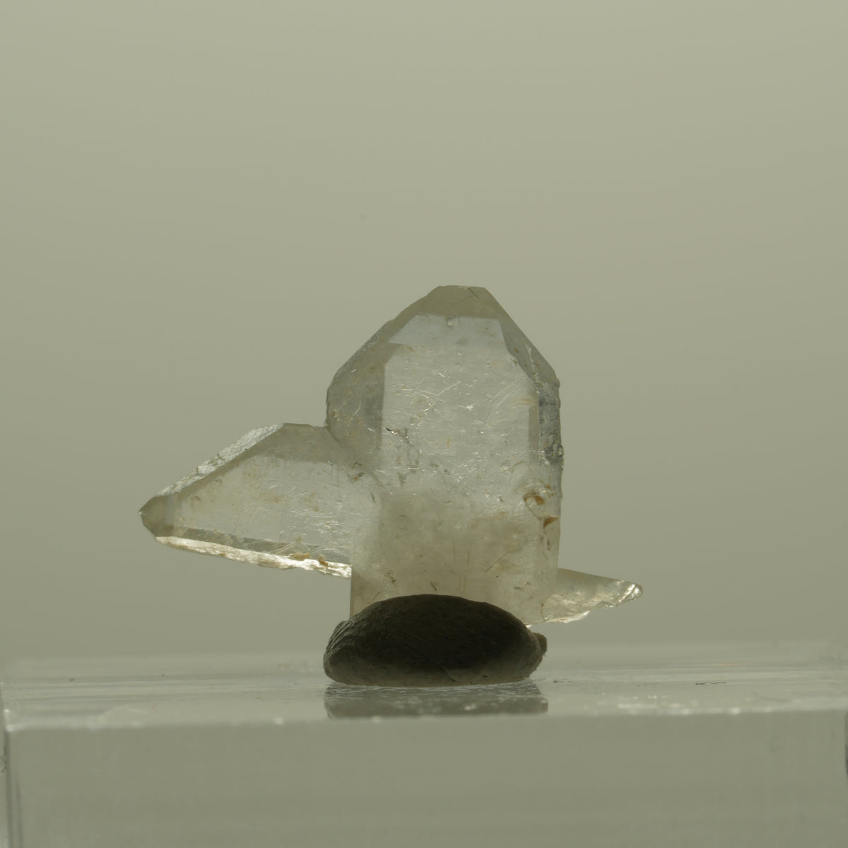 Japan Law Twin Kristall, Japaner-Zwilling Quarz Tubussis Area, Erongo, Namibia 17*14*4mm #15264
