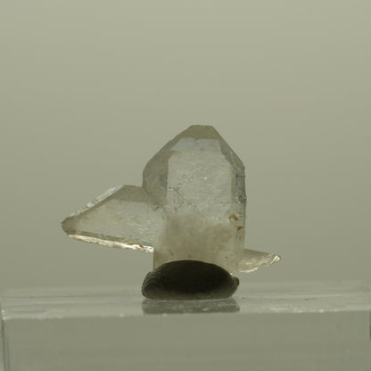 Japan Law Twin Kristall, Japaner-Zwilling Quarz Tubussis Area, Erongo, Namibia 17*14*4mm #15264