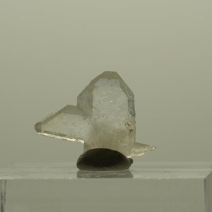 Japan Law Twin Kristall, Japaner-Zwilling Quarz Tubussis Area, Erongo, Namibia 17*14*4mm #15264