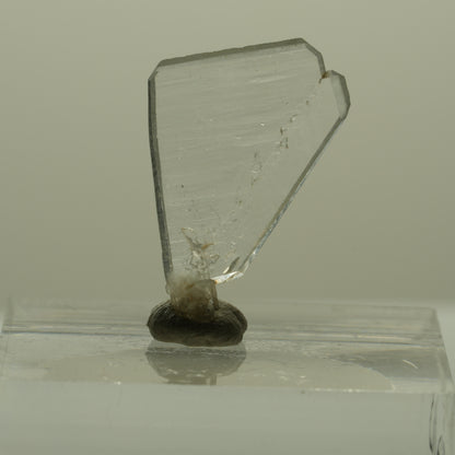 Japan Law Twin Kristall, Japaner-Zwilling Quarz Tubussis Area, Erongo, Namibia 20*12*2mm #15272