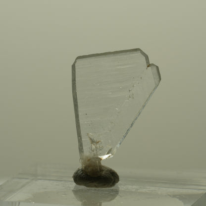 Japan Law Twin Kristall, Japaner-Zwilling Quarz Tubussis Area, Erongo, Namibia 20*12*2mm #15272