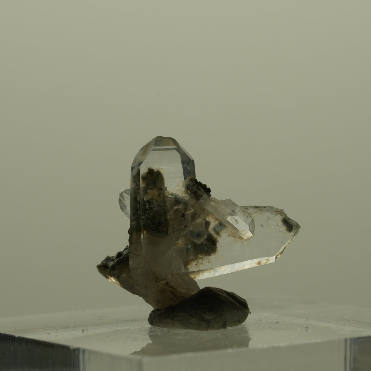Japan Law Twin Kristall, Japaner-Zwilling Quarz Tubussis Area, Erongo, Namibia 16*15*7mm #15275