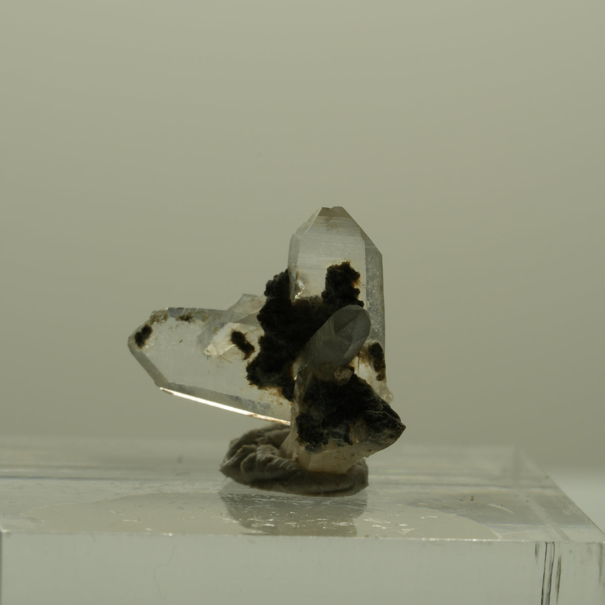 Japan Law Twin Kristall, Japaner-Zwilling Quarz Tubussis Area, Erongo, Namibia 16*15*7mm #15275