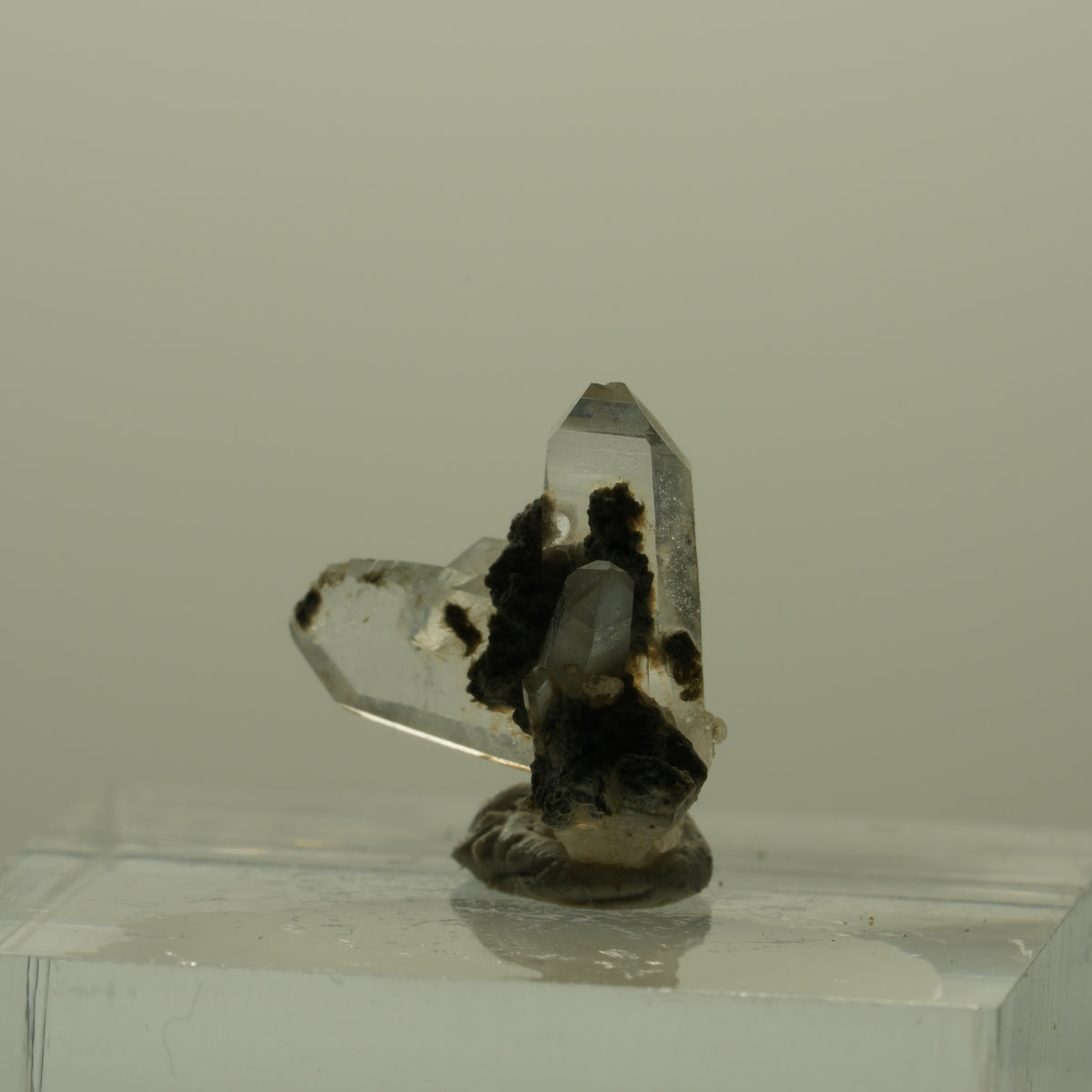 Japan Law Twin Kristall, Japaner-Zwilling Quarz Tubussis Area, Erongo, Namibia 16*15*7mm #15275