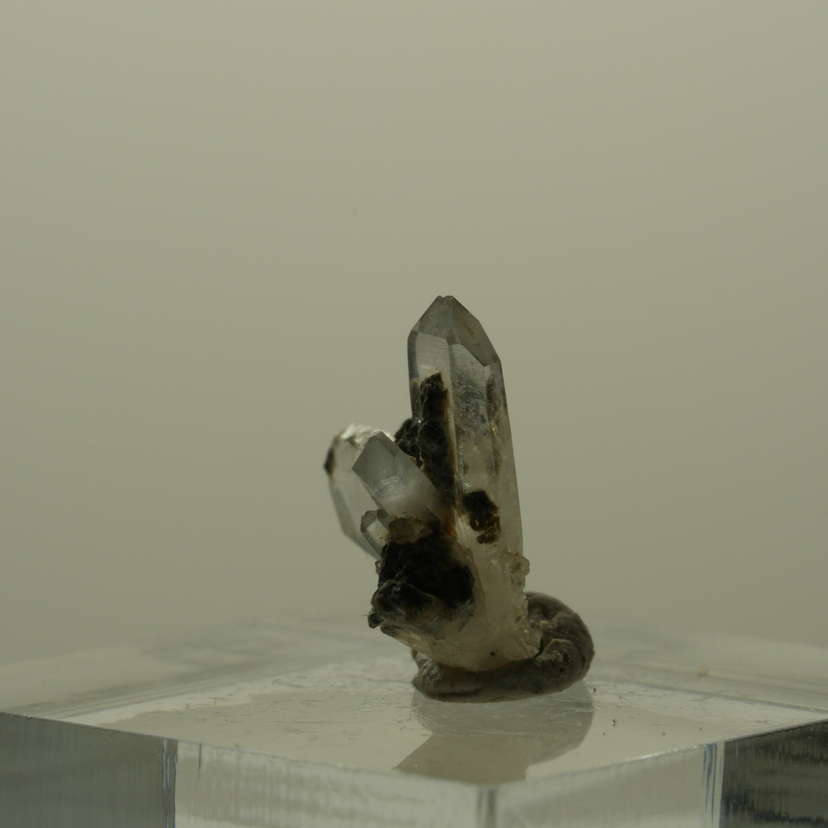 Japan Law Twin Kristall, Japaner-Zwilling Quarz Tubussis Area, Erongo, Namibia 16*15*7mm #15275