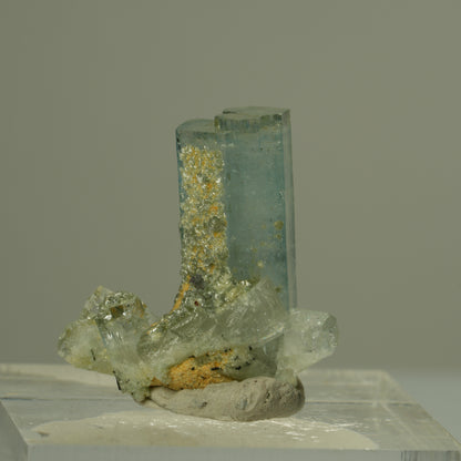 Seltene Aquamarin, Muskovit Stufe Erongo, Namibia 21*20*10mm #15296