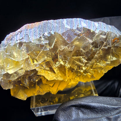 Honey Pocket Phantom Fluorite stage jaune bleu Okorusu namibie 50*28*14mm collection