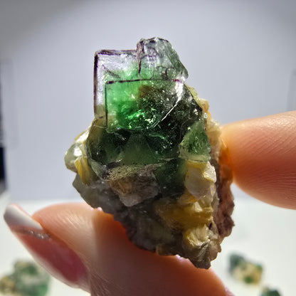 Lot de 16 tourmalines Schörl, fluorite fantôme, hyalite, stade muscovite, Erongo, Namibie 