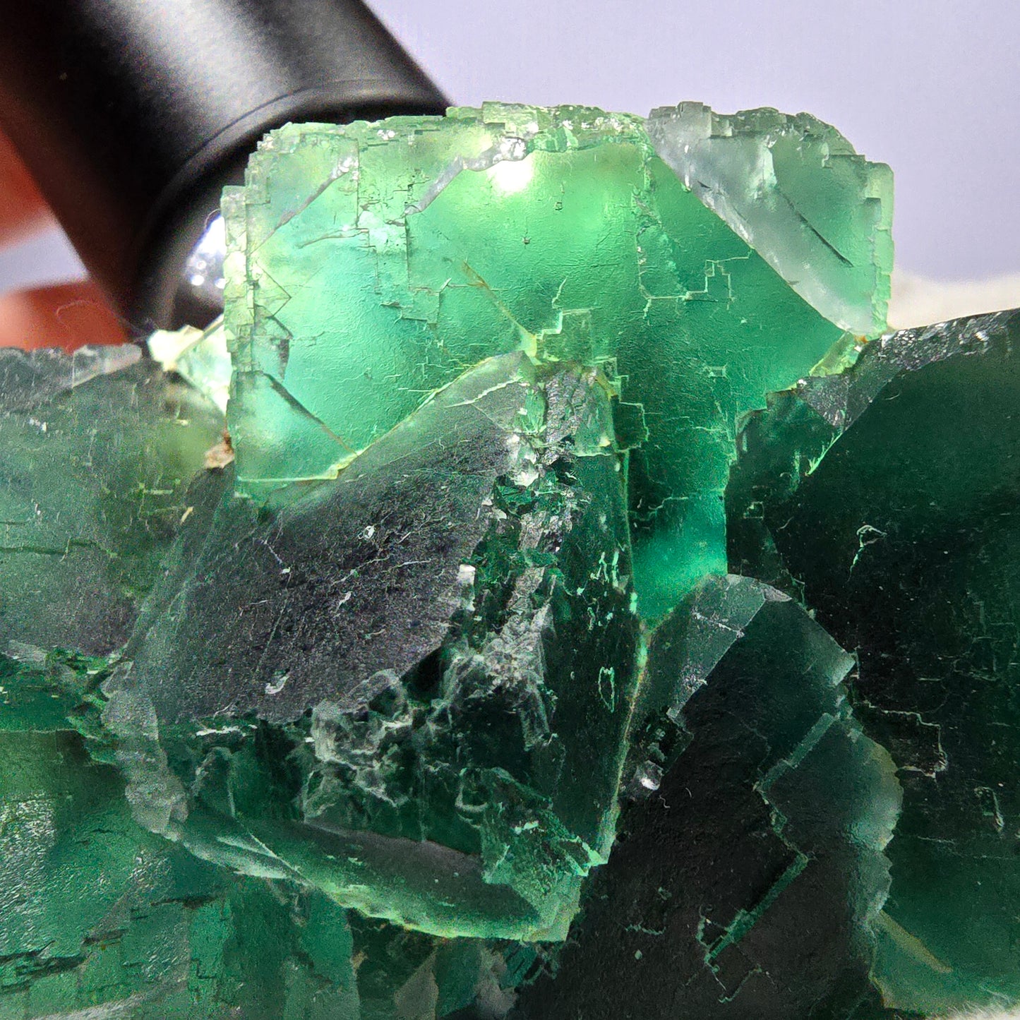 Große Phantom Fluorit Würfel Stufe parkettiert grün Okorusu Namibia 89*67*47mm