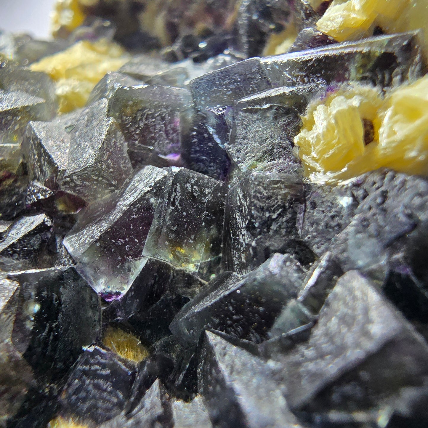 Cubes de fluorite fantôme colorés, spécimen de muscovite, Erongo, Namibie, 71 x 56 x 35 mm 
