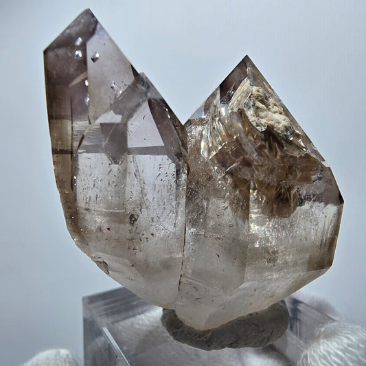 Amas de sceptres en quartz fumé fantôme transparent, Goboboseb, Namibie, 40 x 34 x 23 mm 