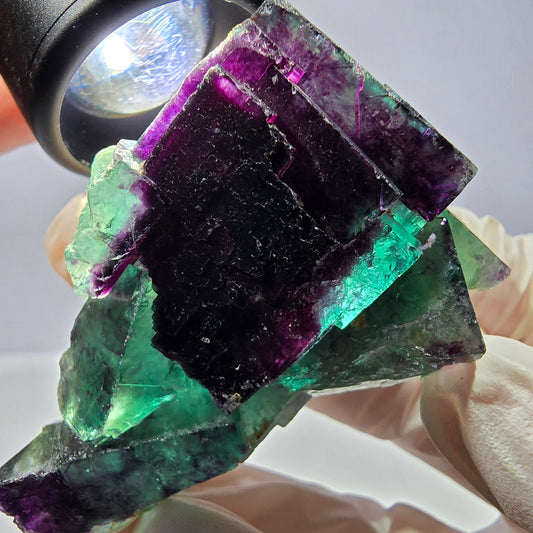 Spécimen de cube de fluorite fantôme, parqueté vert violet Okorusu, Namibie 59*41*24 mm 