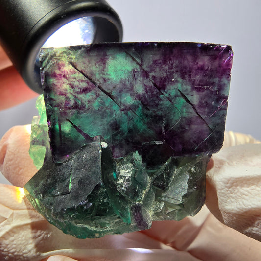 Spécimen de cube de fluorite fantôme, parqueté vert violet Okorusu, Namibie 36*31*29 mm 