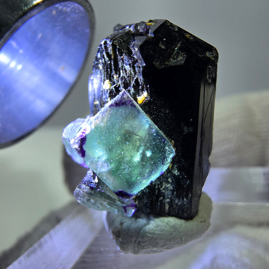 Spécimen de cube de fluorite fantôme zonal, de muscovite et de tourmaline Schorl, Erongo, Namibie, 20 x 19 x 13 mm 